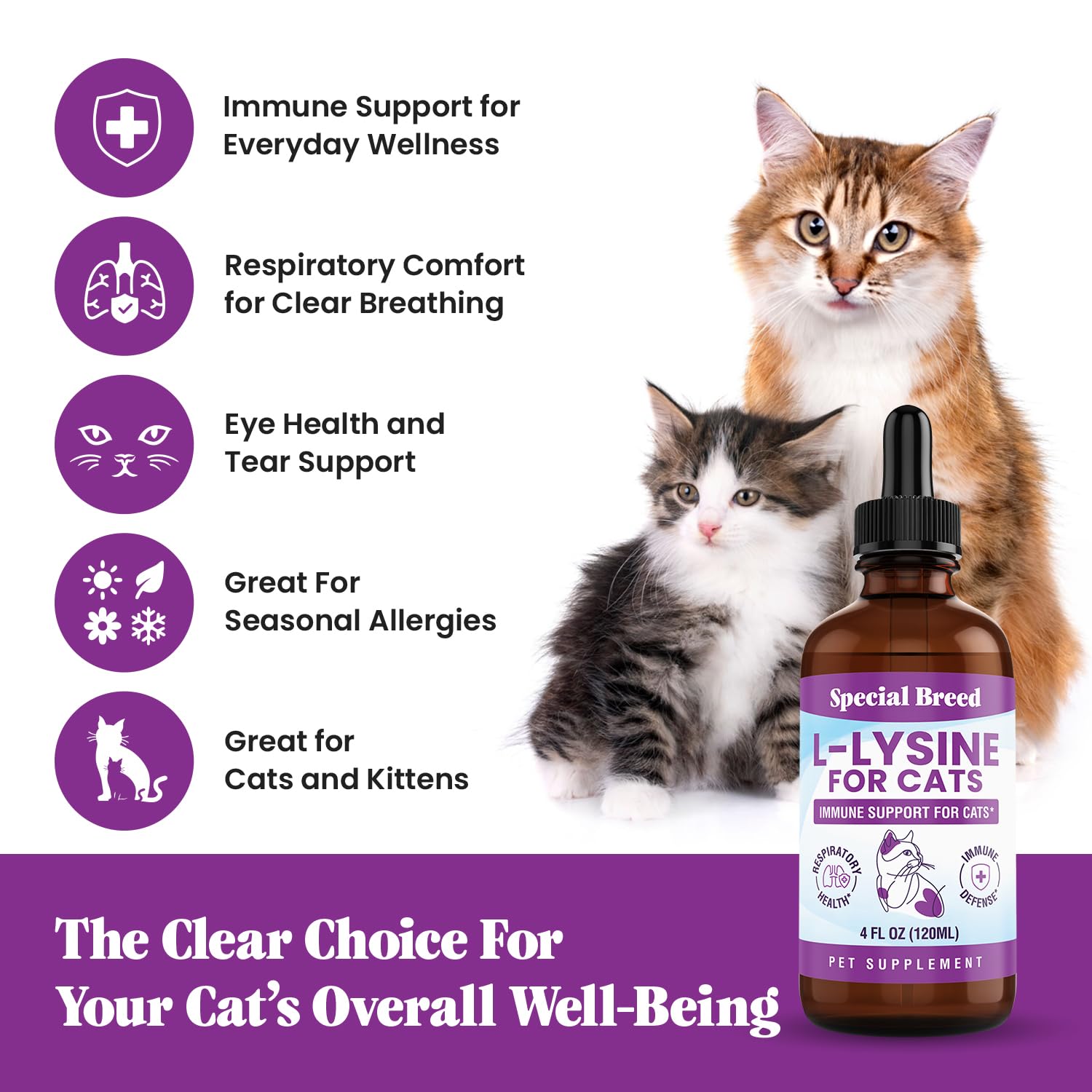 L-Lysine Liquid Drops for Cats & Kittens – Immune & Respiratory 250mg