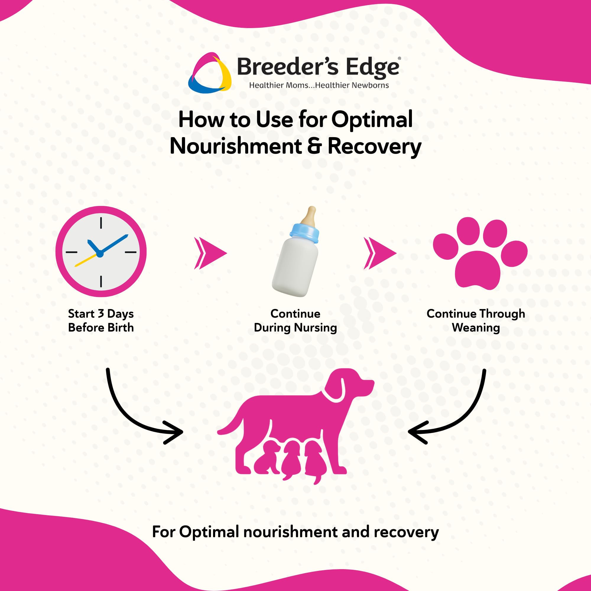 Postnatal Vitamin Soft Chews for Lactating Dogs & Cats – 40ct