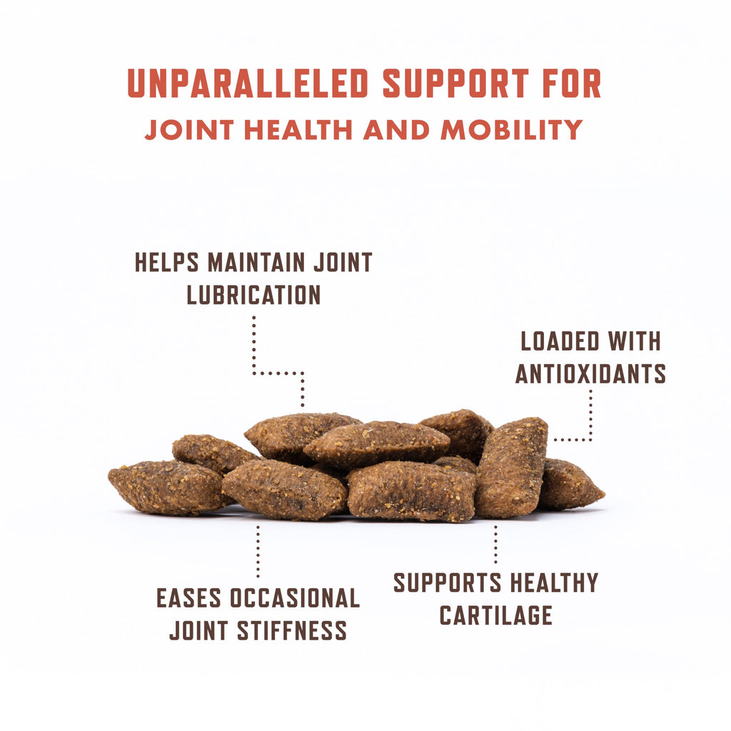 Senior Cat Hip & Joint Chews – Glucosamine & Green Lipped Mussel 300ct