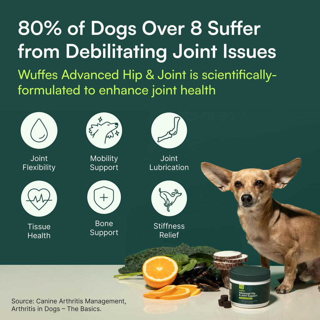 Hip & Joint Chews for Small-Medium Dogs – Glucosamine & MSM 60ct