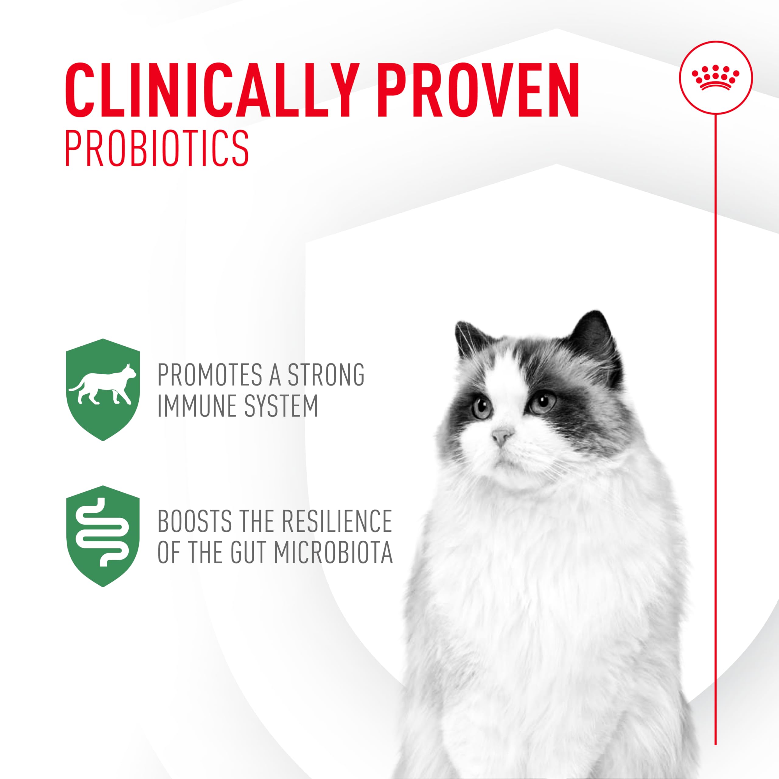 Probiotic Powder Supplement for Cats – Digestive & Immune 30ct