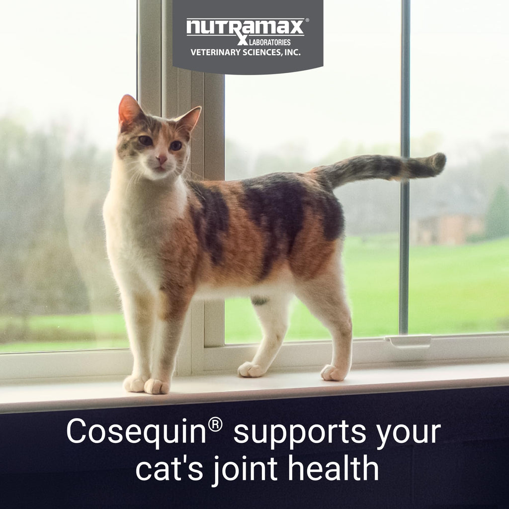 Joint Sprinkle Capsules for Cats – Glucosamine & Chondroitin 30ct