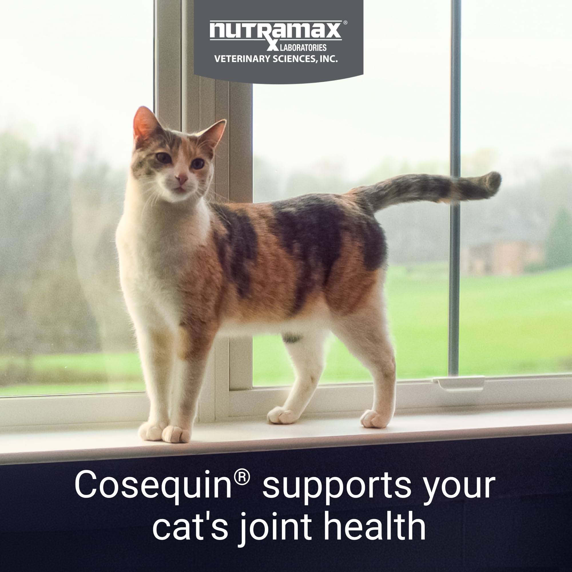 Joint Sprinkle Capsules for Cats – Glucosamine & Chondroitin 30ct
