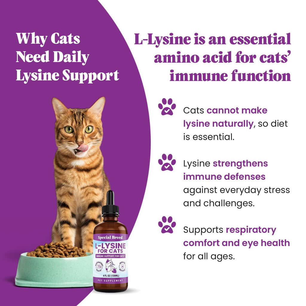 L-Lysine Liquid Drops for Cats & Kittens – Immune & Respiratory 250mg
