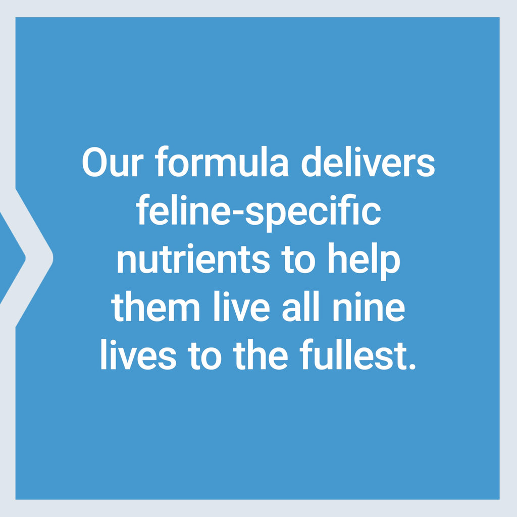 Daily Multivitamin Mix for Cats – Heart, Immune & Gut Support 85 Servings