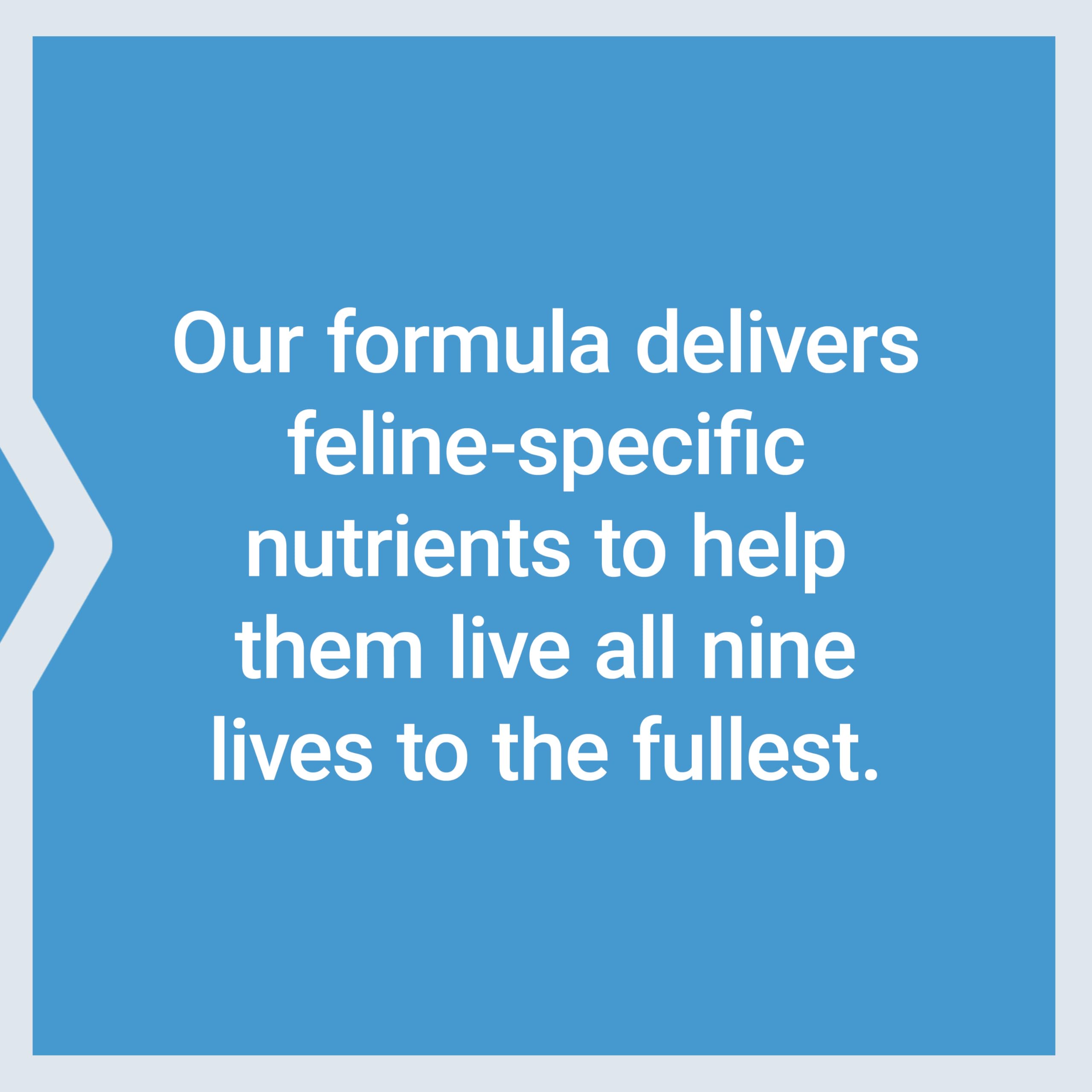 Daily Multivitamin Mix for Cats – Heart, Immune & Gut Support 85 Servings