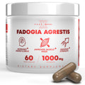 Fadogia Agrestis 1000 mg Capsules – Energy & Performance, 60 Ct