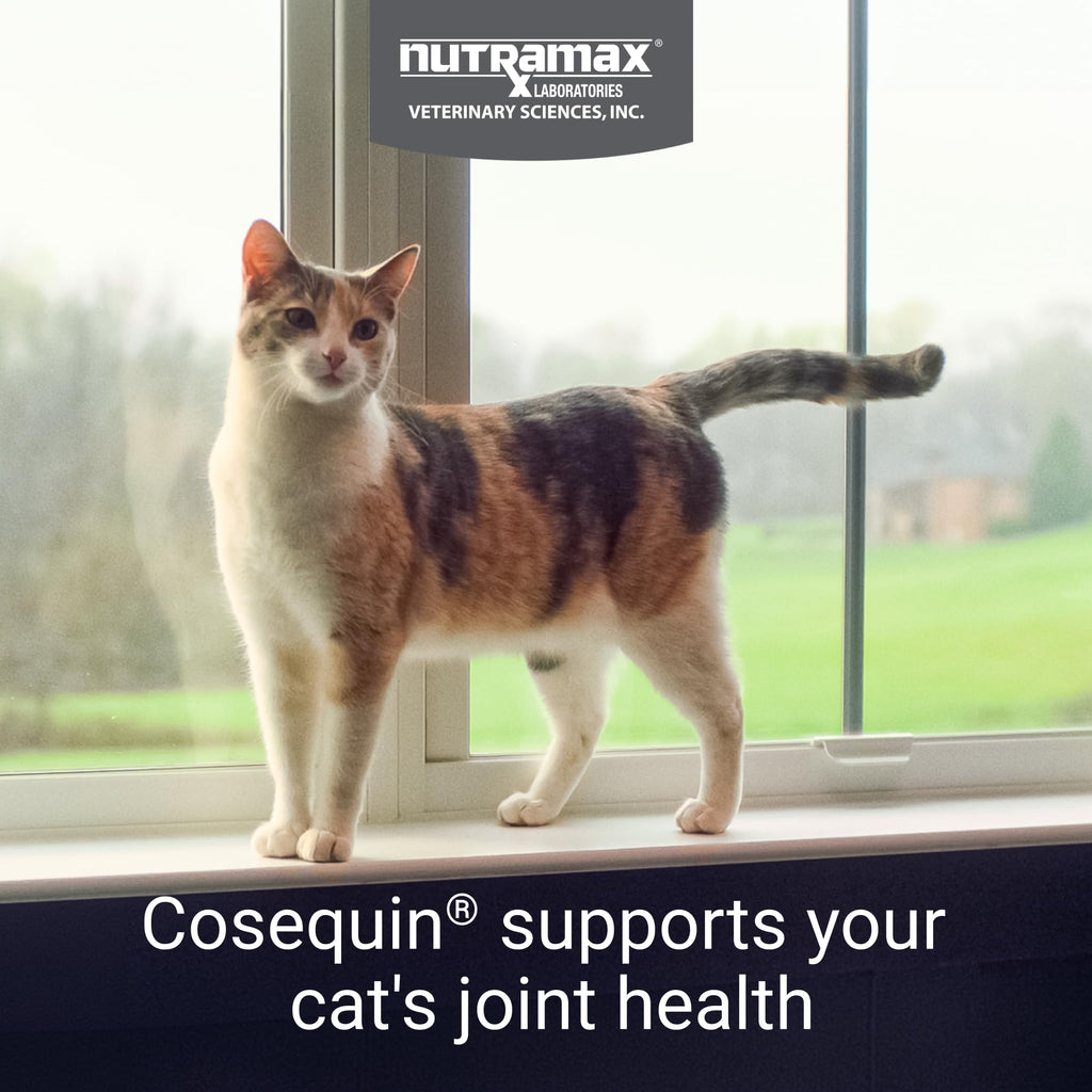 Joint Soft Chews for Cats – Glucosamine, Chondroitin & Omega-3 60ct