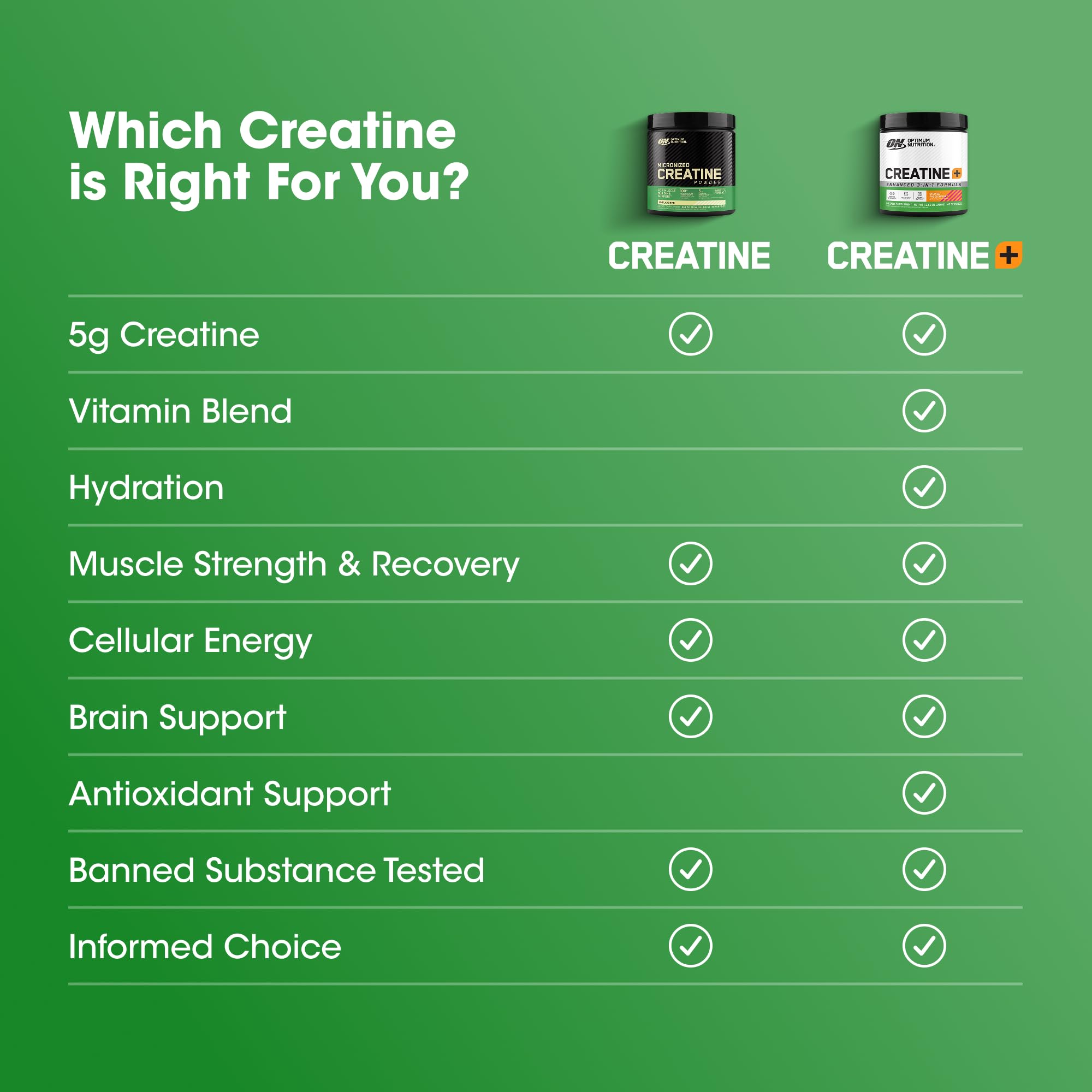 Micronized Creatine Monohydrate Capsules 2500mg 300 Count