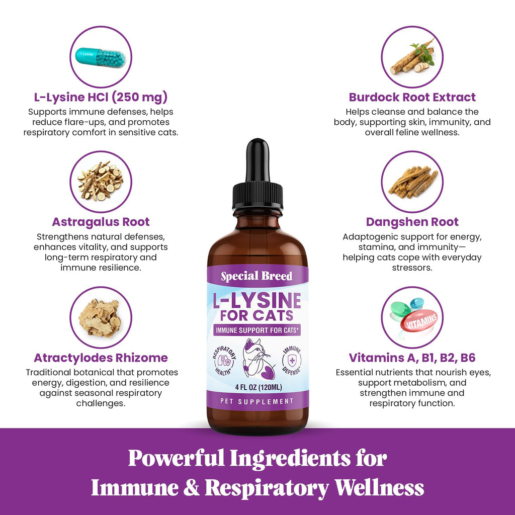 L-Lysine Liquid Drops for Cats & Kittens – Immune & Respiratory 250mg