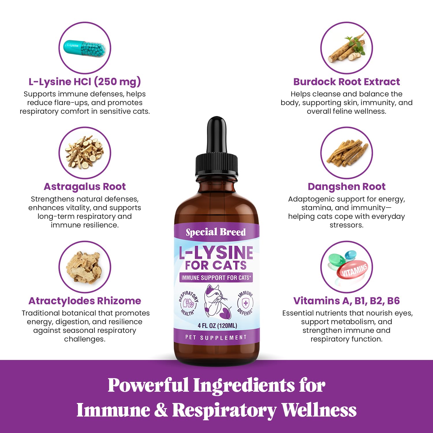L-Lysine Liquid Drops for Cats & Kittens – Immune & Respiratory 250mg