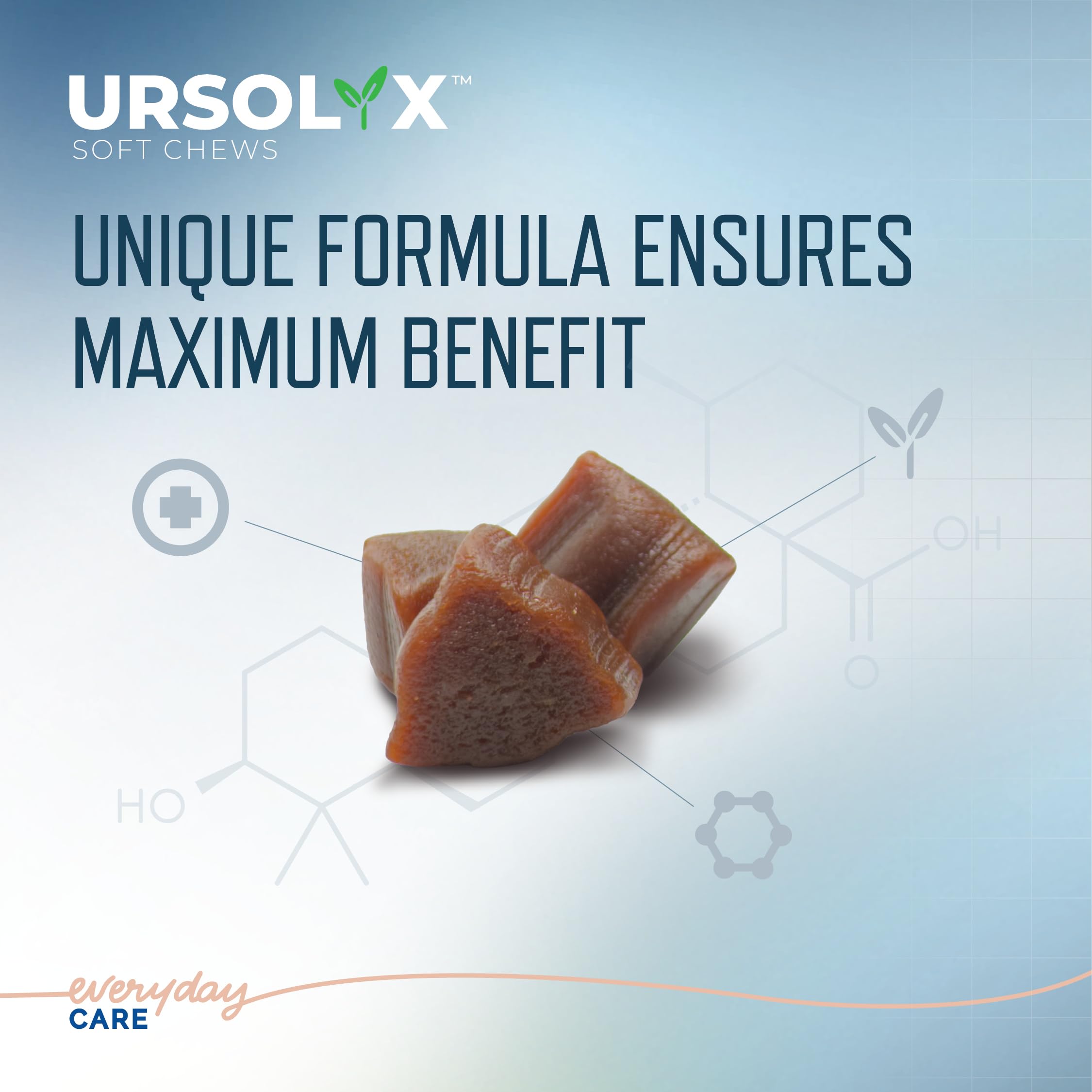 Muscle Health Support Soft Chews for Senior Cats – 60ct 2-Month