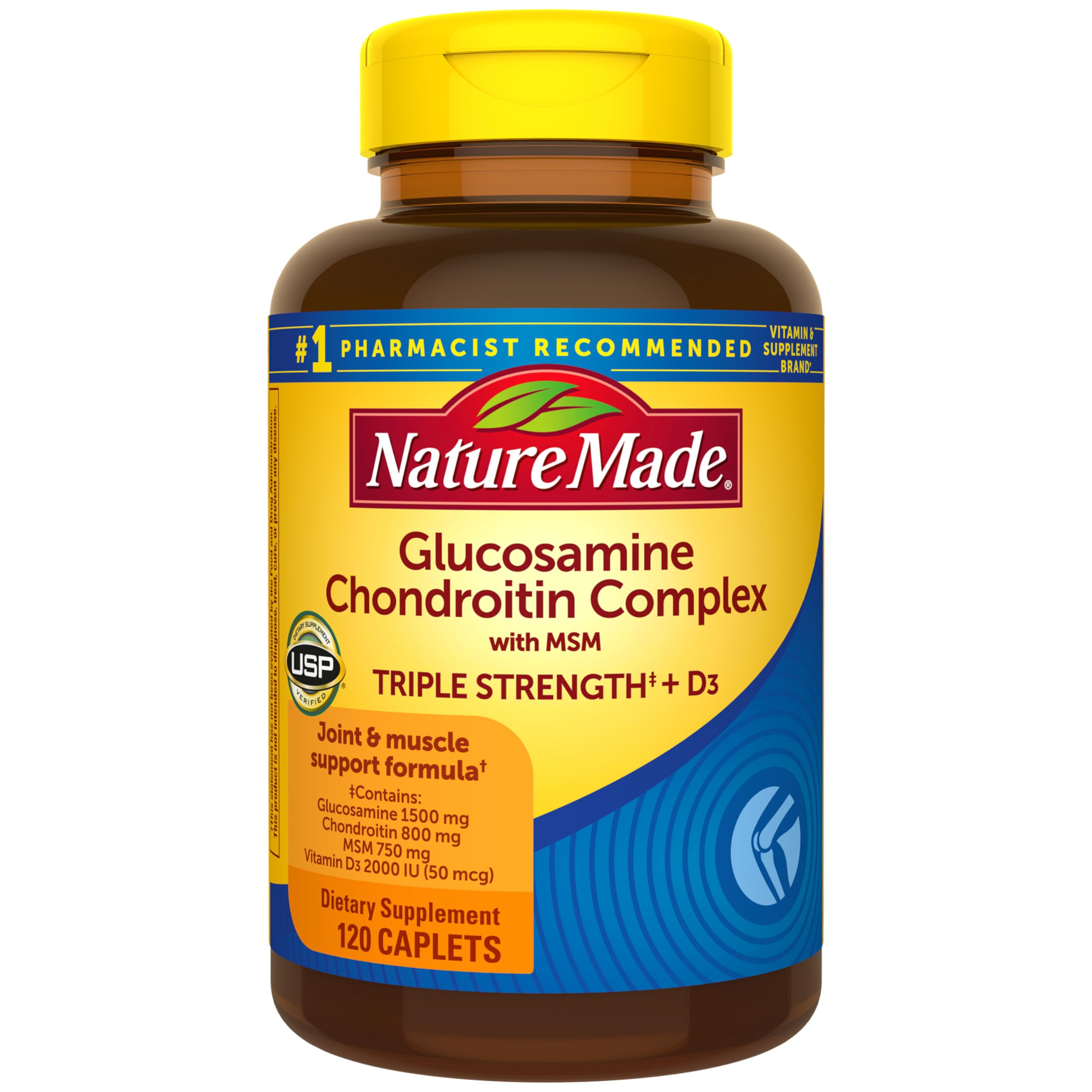 Glucosamine Chondroitin MSM Capsules for Joint Support & Mobility 120 Ct