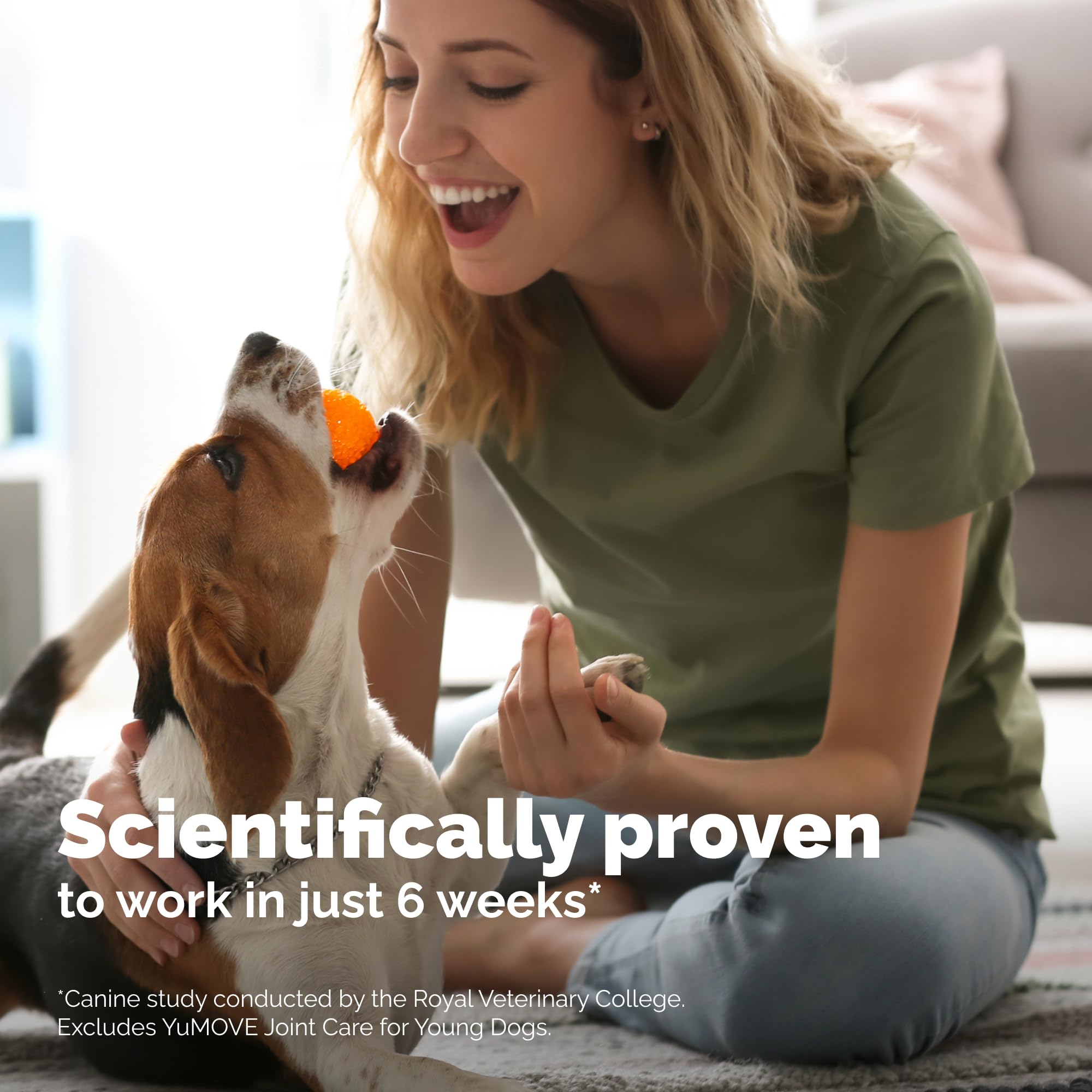 Glucosamine Hip & Joint Chews for Dogs – 300ct