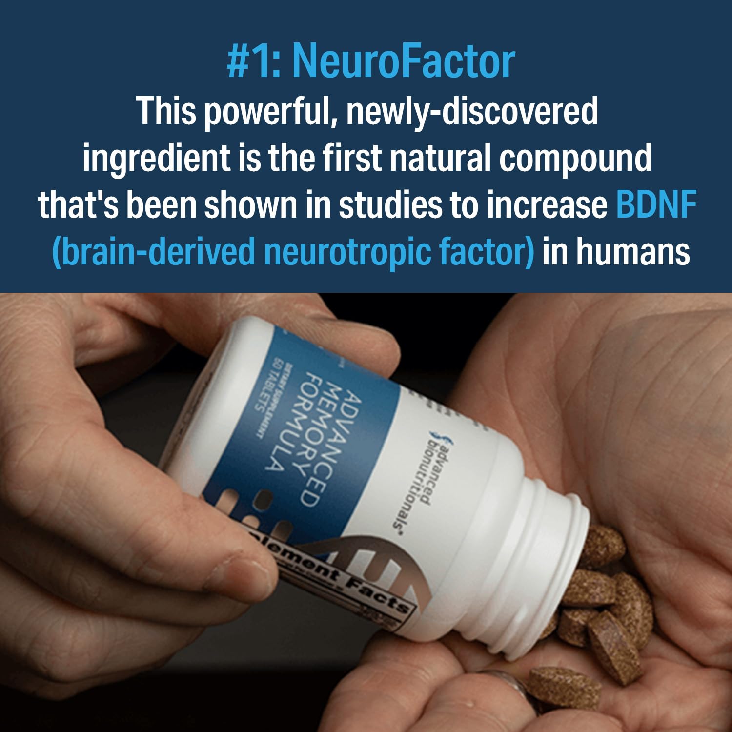 Memory & Focus Brain Supplement with Alpha-GPC for Cognitive Support Tablets