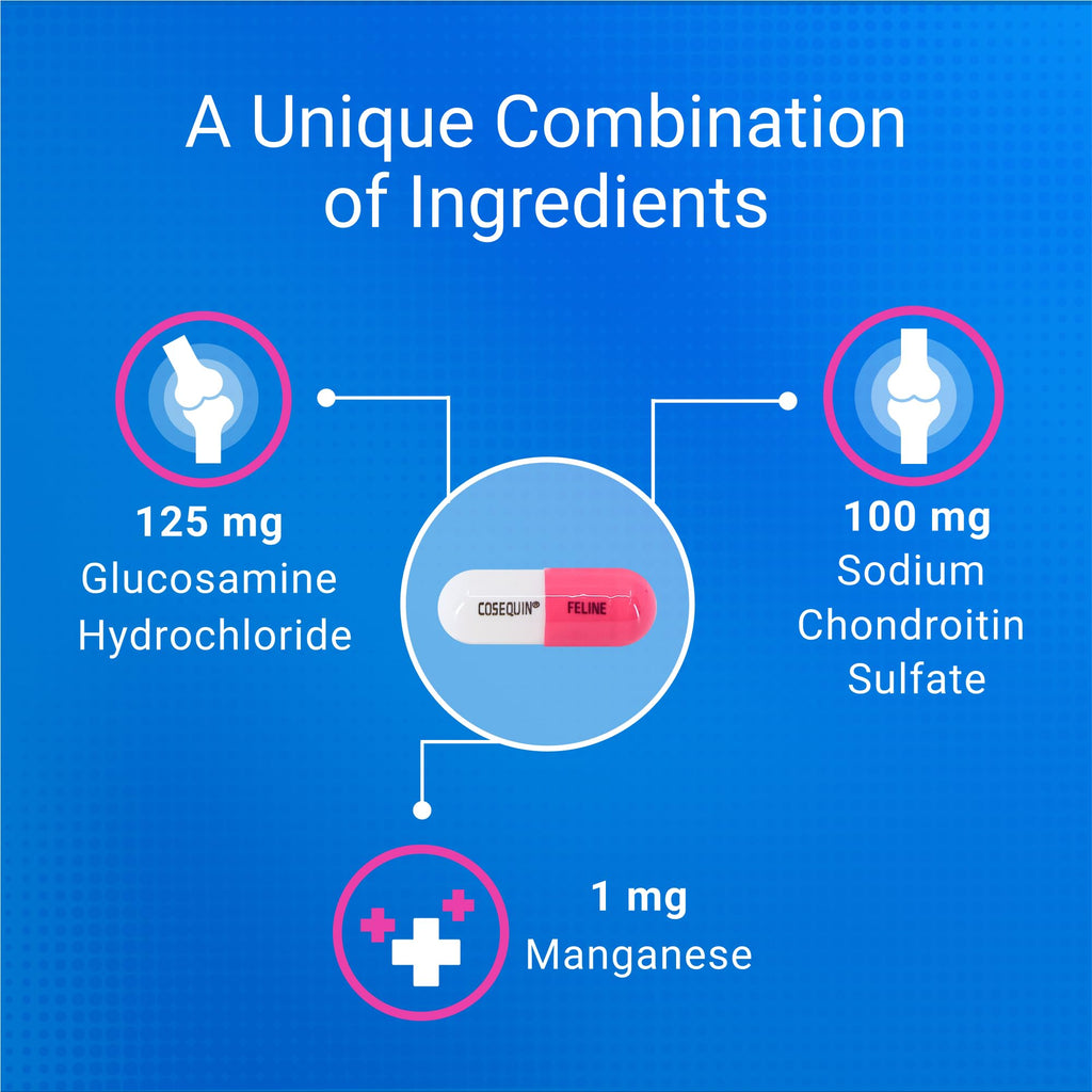 Joint Sprinkle Capsules for Cats – Glucosamine & Chondroitin 30ct