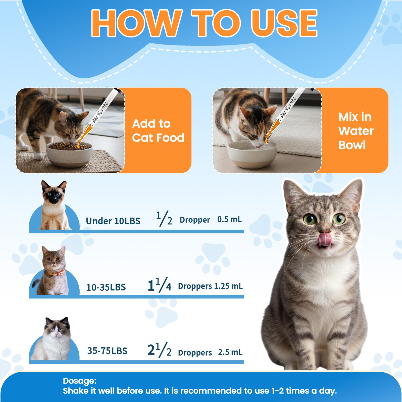 L-Lysine Liquid for Cats – Immune & Respiratory Support 60ml