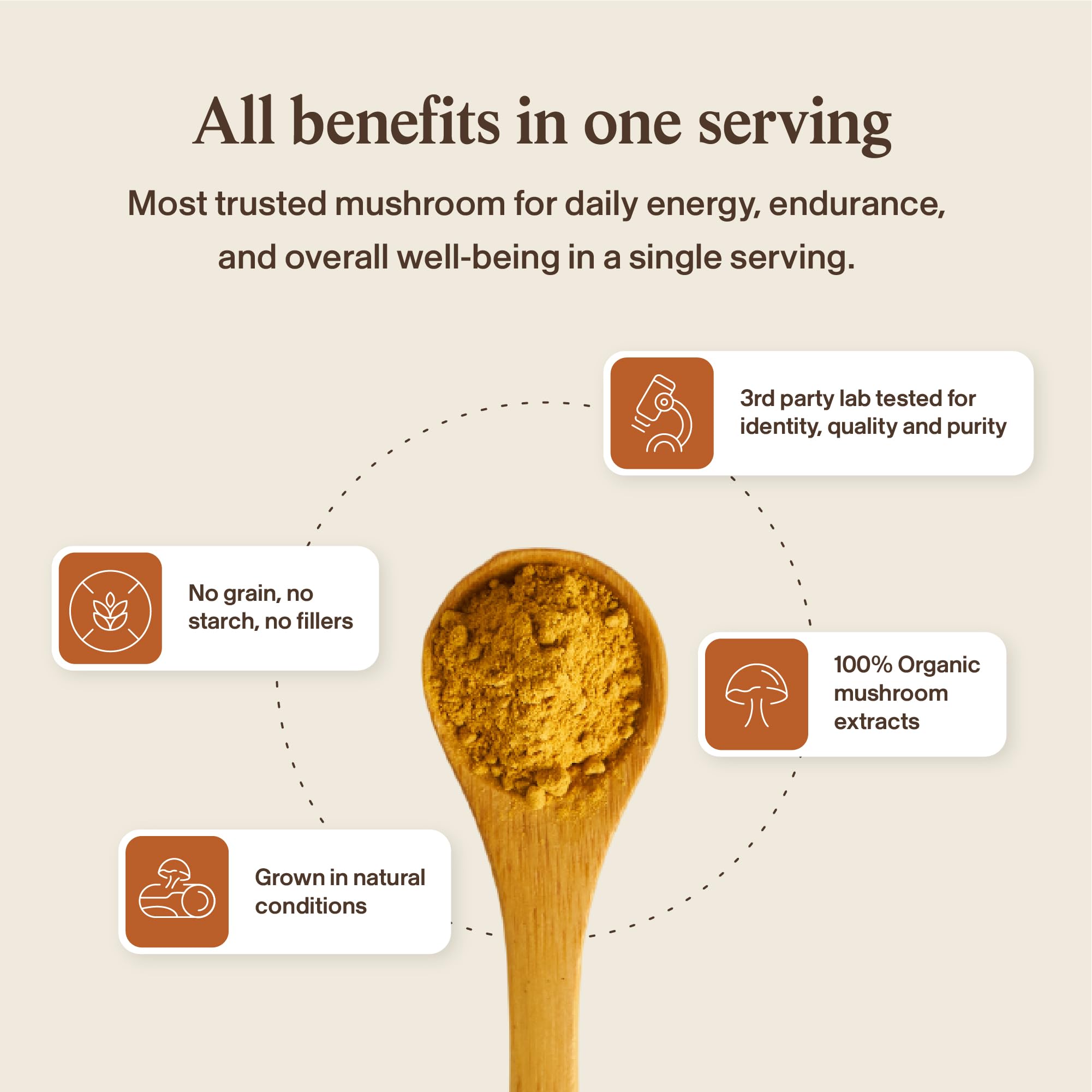 Cordyceps Mushroom Capsules – Energy & Performance Support, 120 Ct