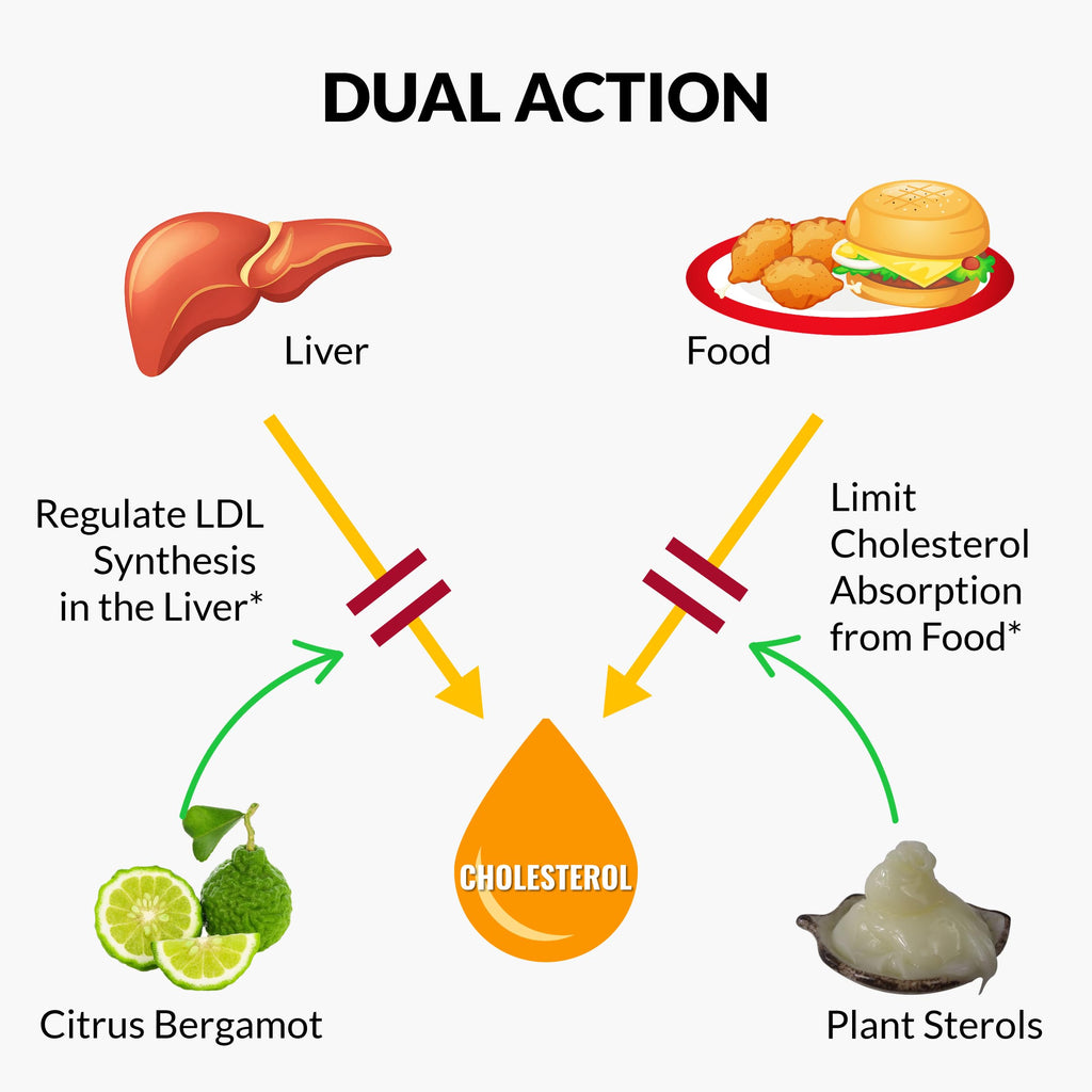 Plant Sterols & Bergamot Softgels for Cholesterol & Heart Support 120 Ct