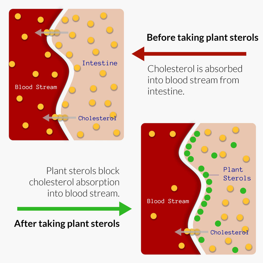 Plant Sterols & Bergamot Softgels for Cholesterol & Heart Support 120 Ct