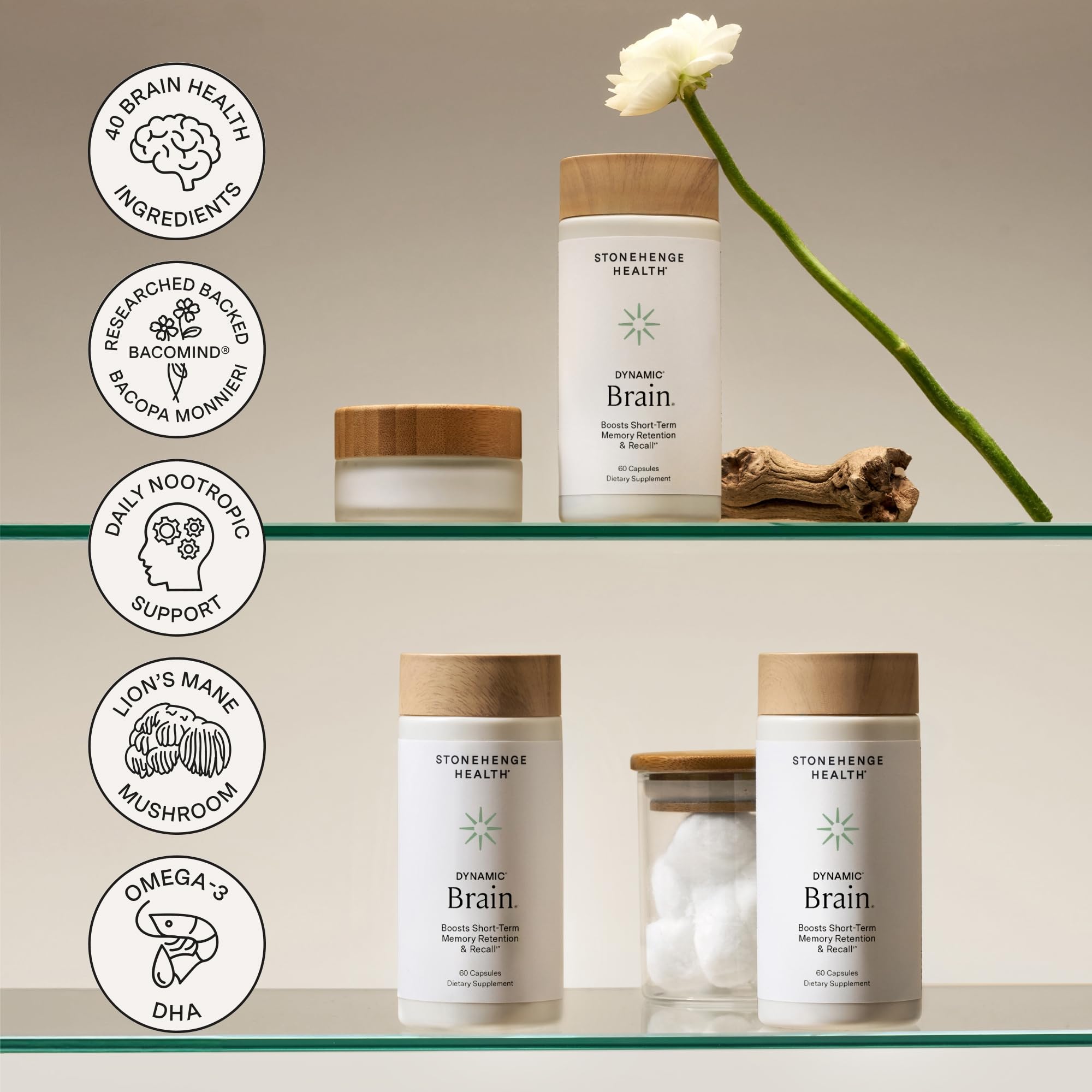 Brain Support Supplement with Bacopa, DHA & Choline for Memory & Focus