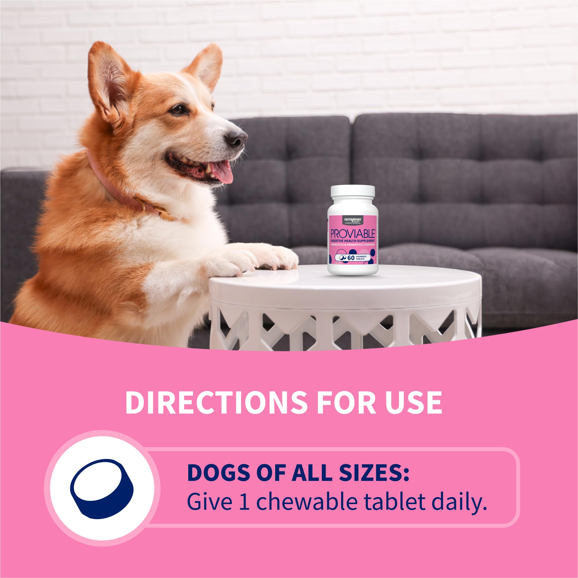 Multi-Strain Probiotic Chewable Tablets for Dogs – 60ct