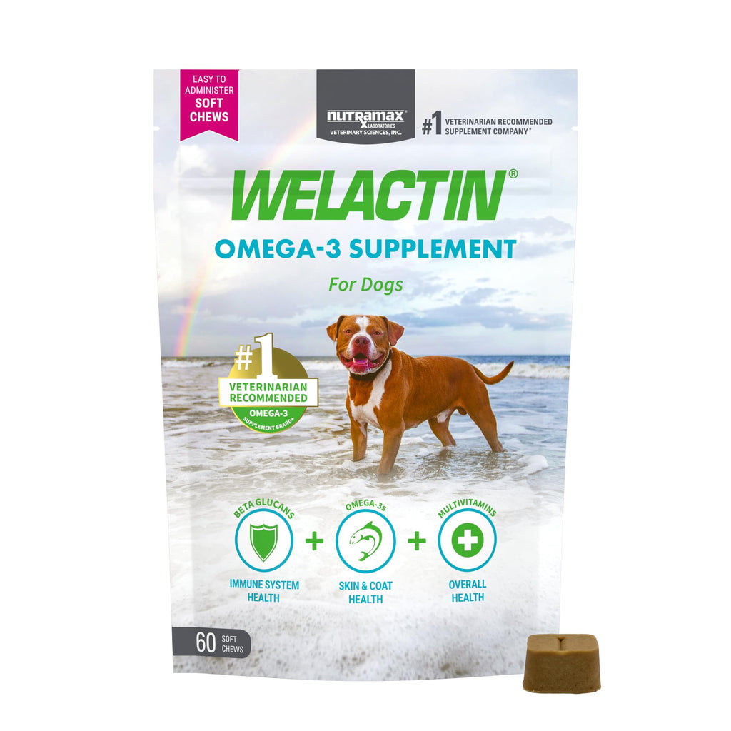 Omega-3 Fish Oil Soft Chews for Dogs – Skin & Coat Support 60ct