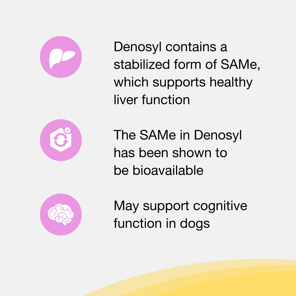 Liver Health SAMe Tablets for Dogs & Cats – 30ct