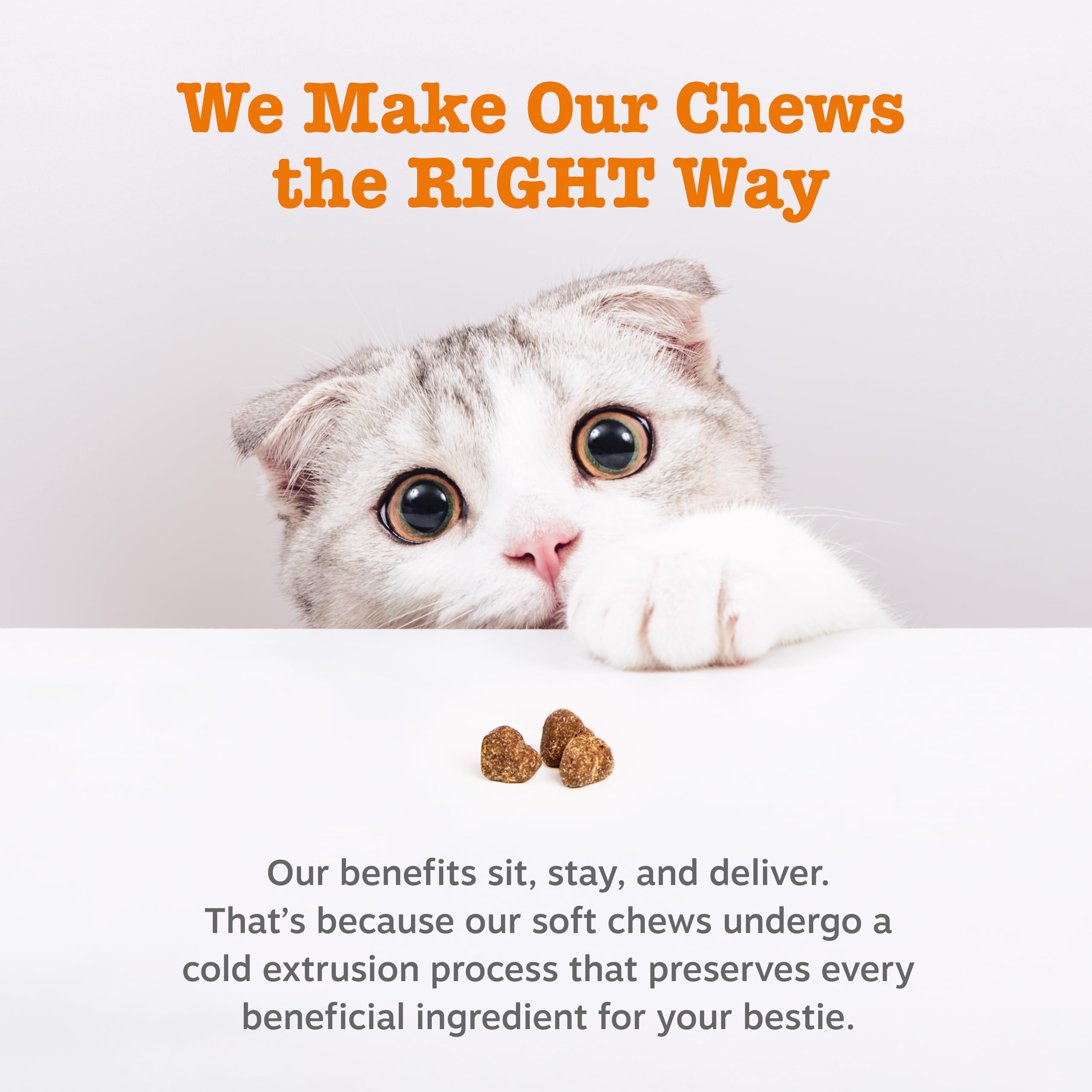 Allergy Relief Soft Chews for Cats – Omega-3 & Probiotics 60ct
