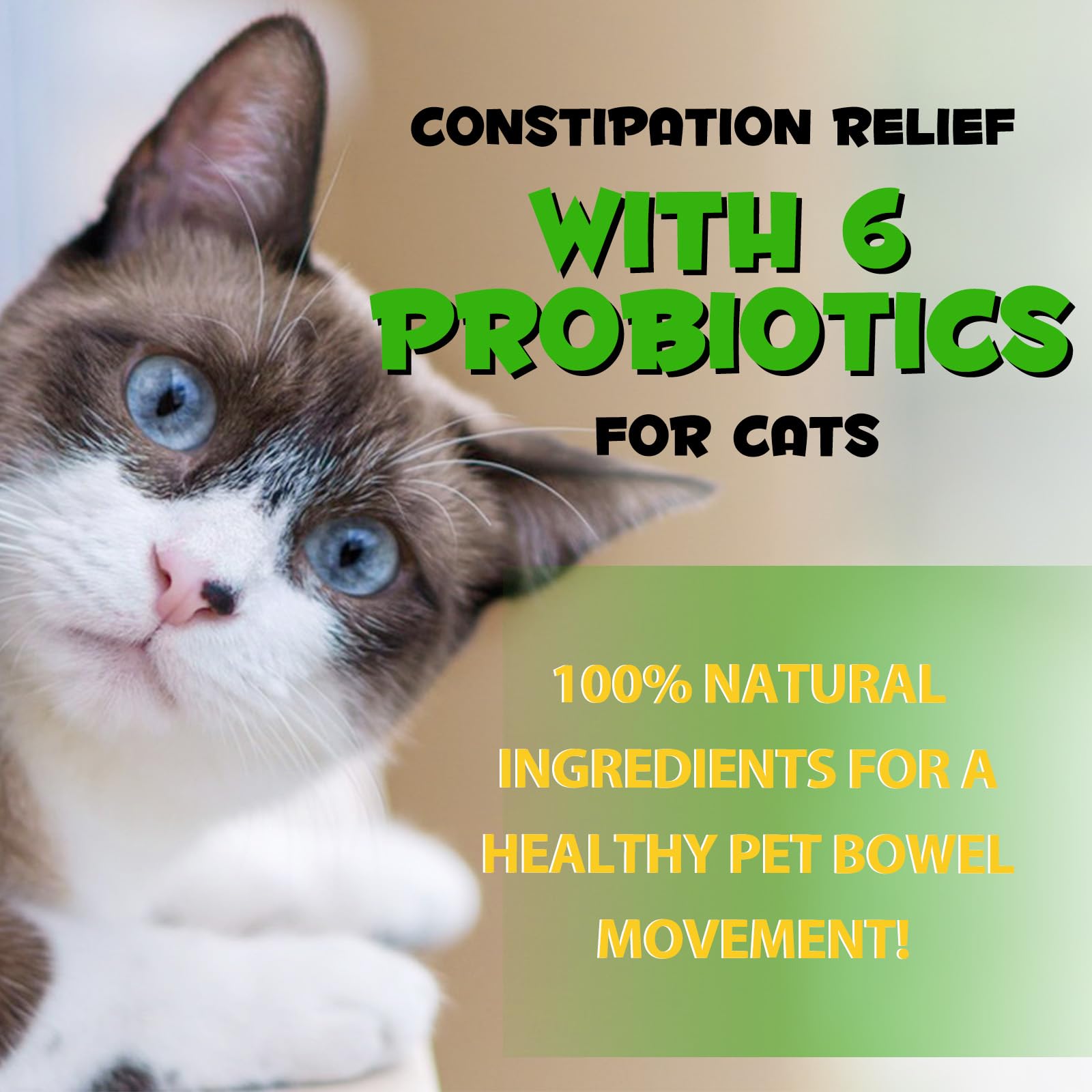 Natural Constipation Relief Liquid Laxative for Cats – 2oz