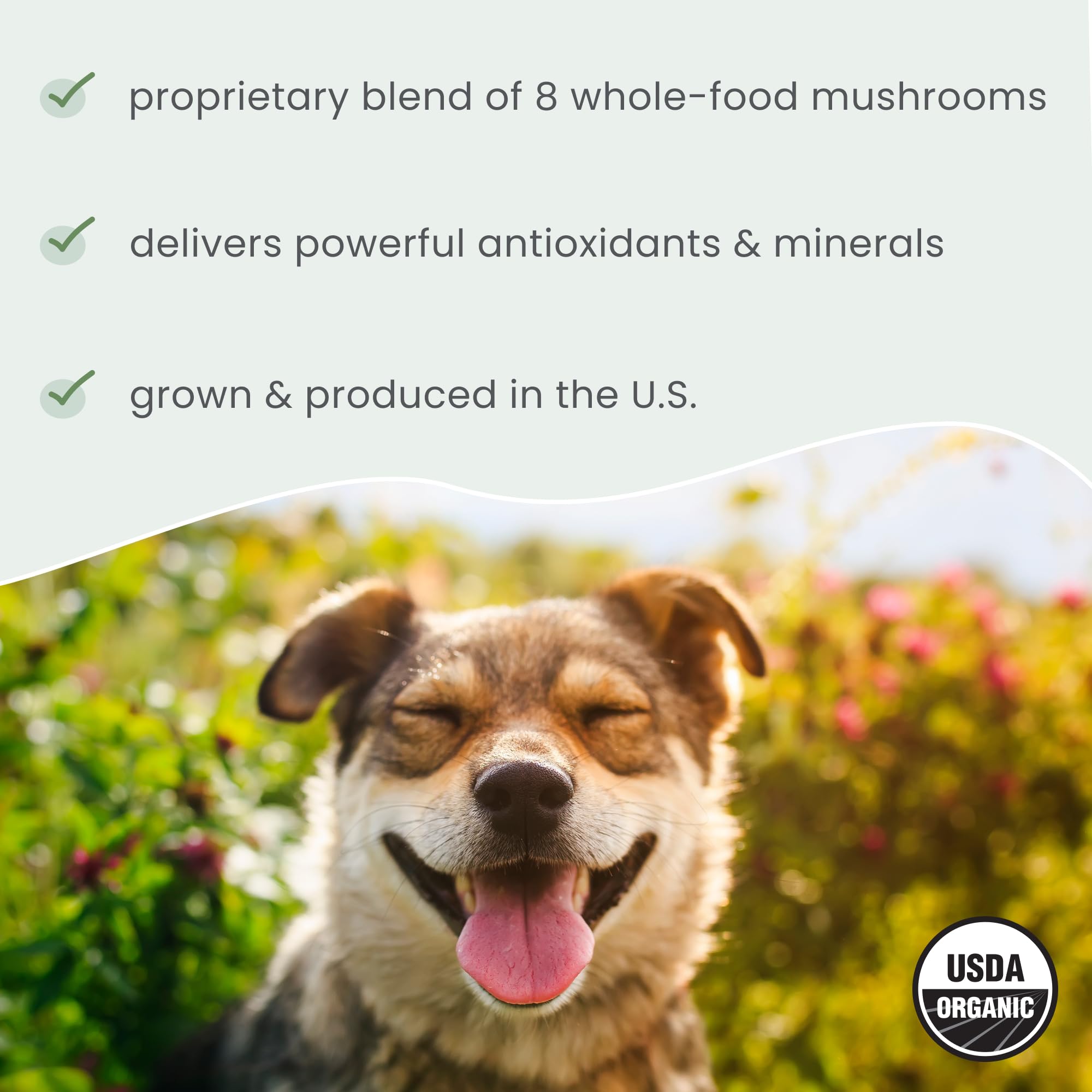 Organic Fermented Mushroom Blend for Dogs & Cats – 60 Scoops