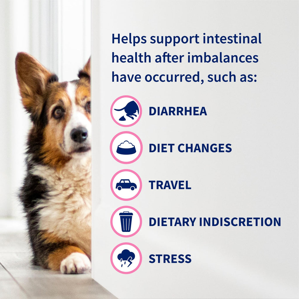 Multi-Strain Probiotic Capsules for Dogs & Cats – 30ct
