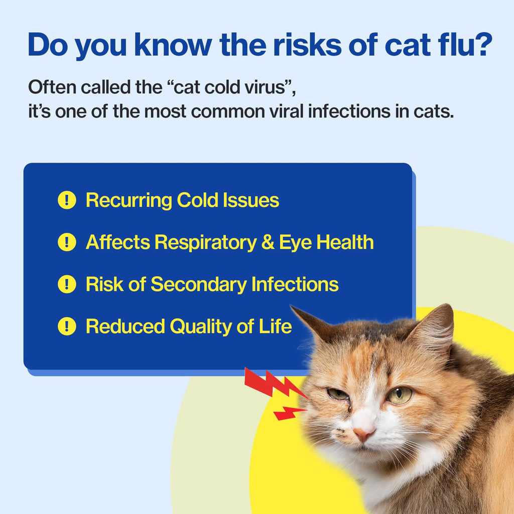 L-Lysine Lickable Immune Support Supplement for Cats – 30ct
