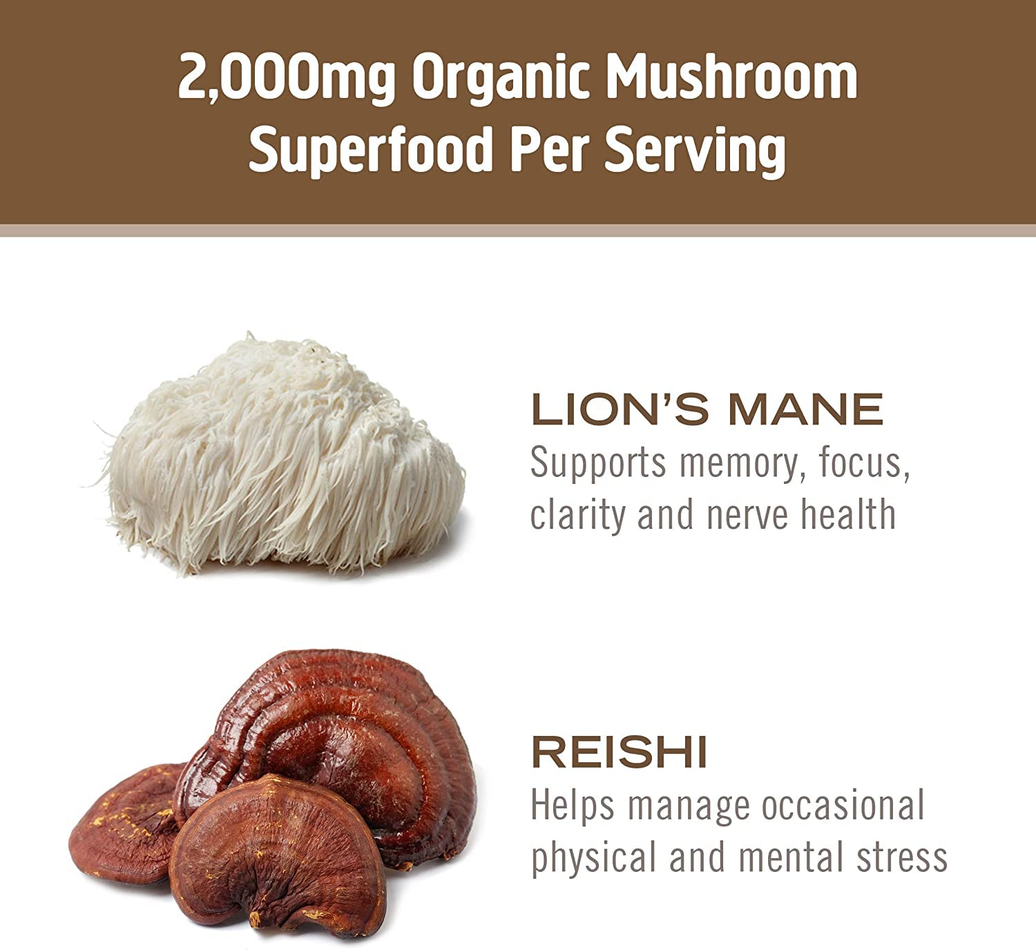 Mushroom Capsules with Lion’s Mane – Brain & Focus Support, 90 Ct