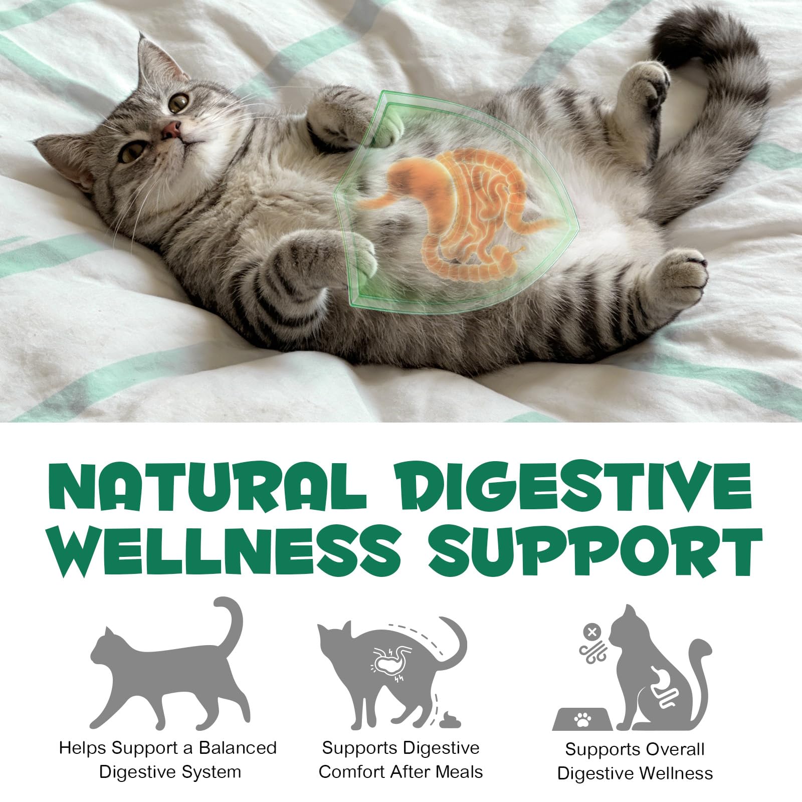 Activated Charcoal Powder for Dogs & Cats – Digestive Support 120g