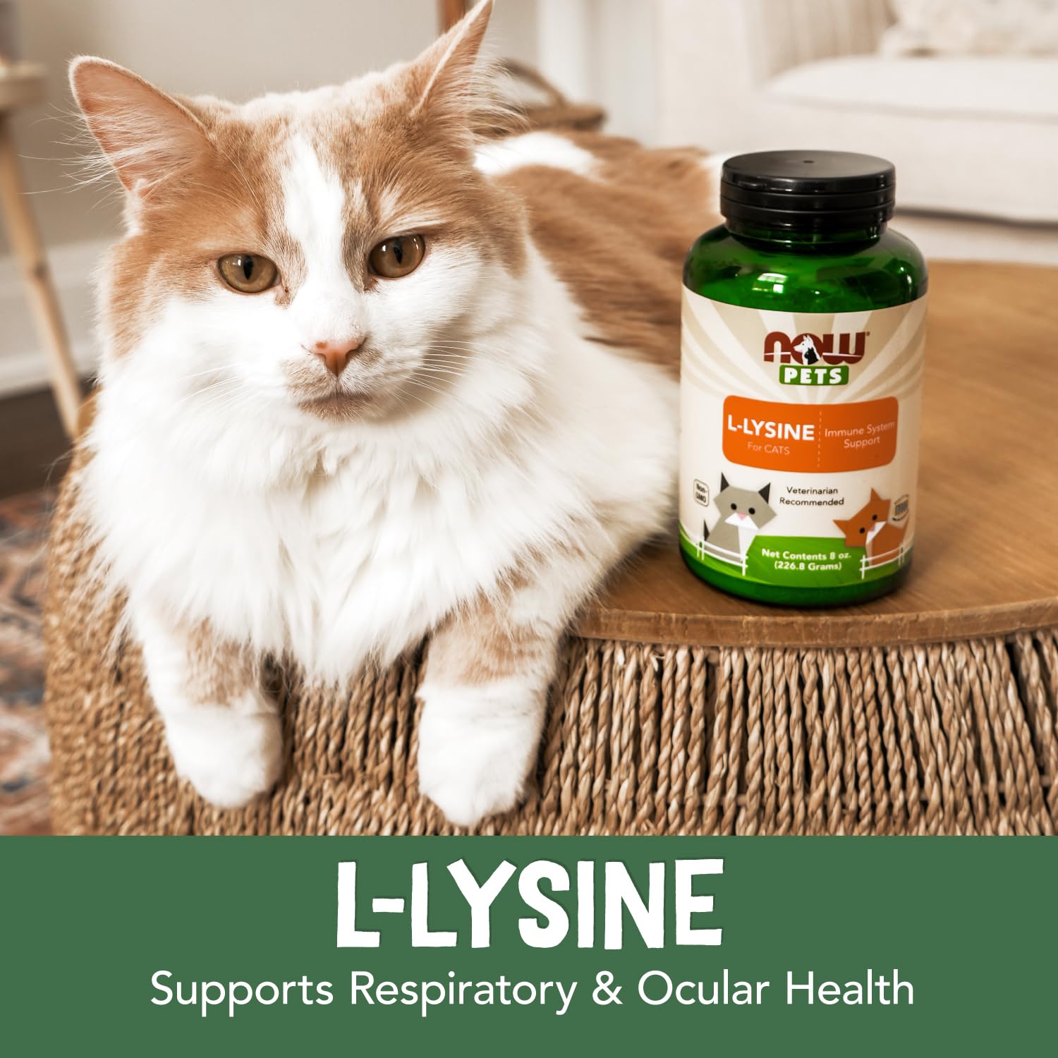 L-Lysine Powder Supplement for Cats – NASC Certified 8oz
