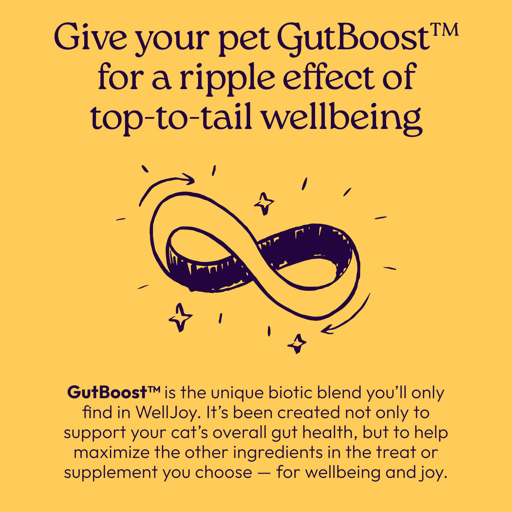 Immune & Gut Support Soft Chews for Cats – Lysine & Chicken 120ct