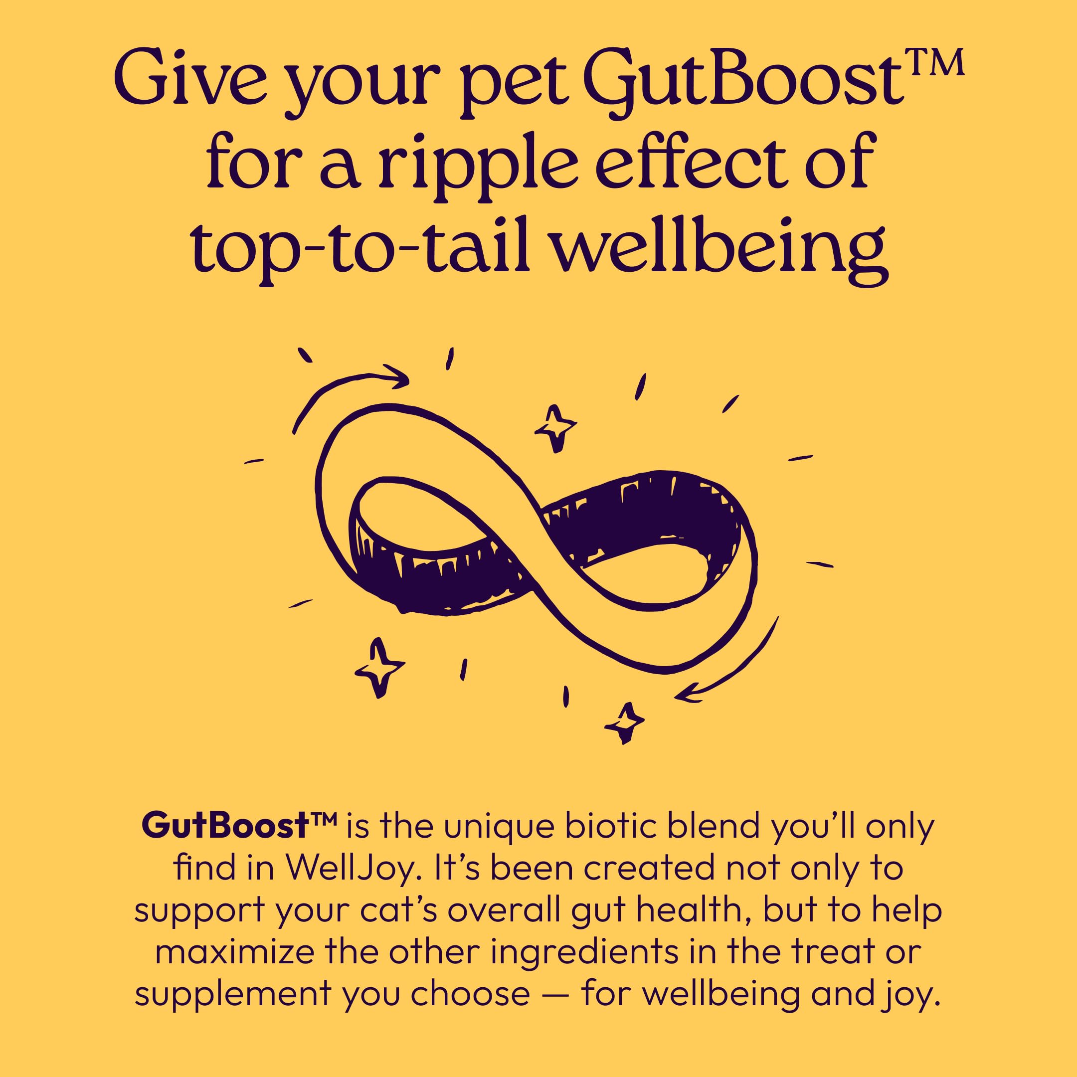 Immune & Gut Support Soft Chews for Cats – Lysine & Chicken 120ct