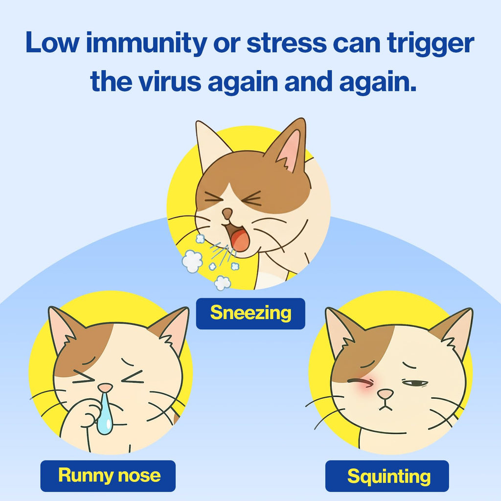 L-Lysine Lickable Immune Support Supplement for Cats – 30ct