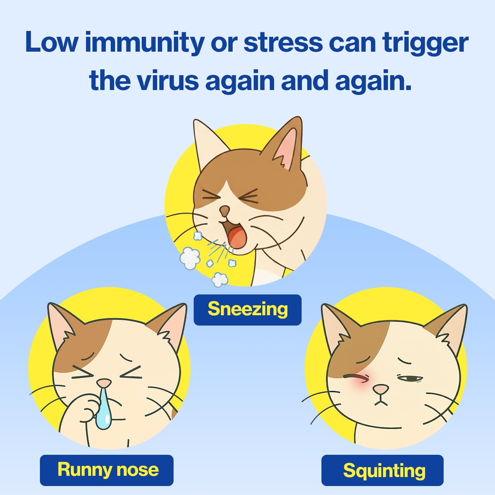 L-Lysine Lickable Immune Support Supplement for Cats – 30ct