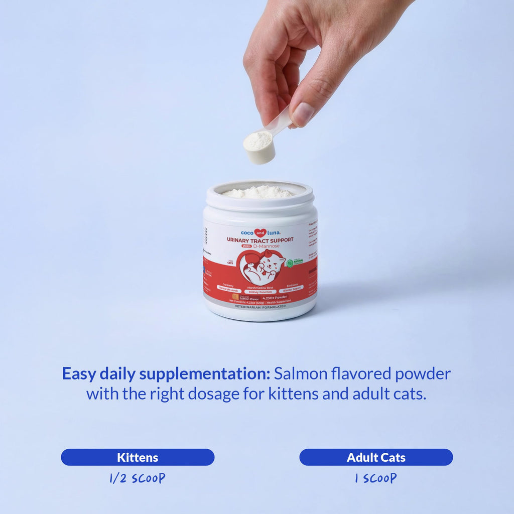Cranberry Urinary Tract Support Powder for Cats – Bladder Health