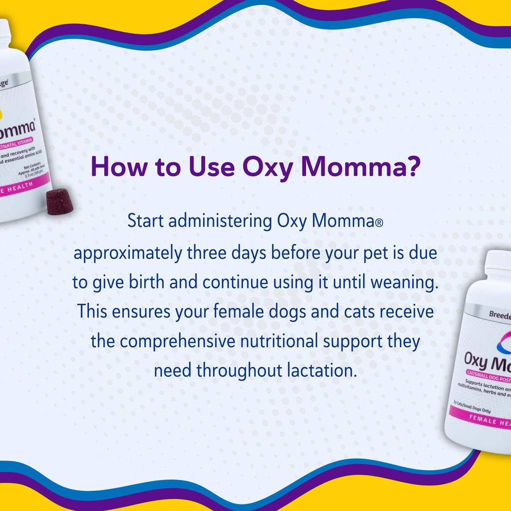 Postnatal Vitamin Soft Chews for Lactating Dogs & Cats – 40ct