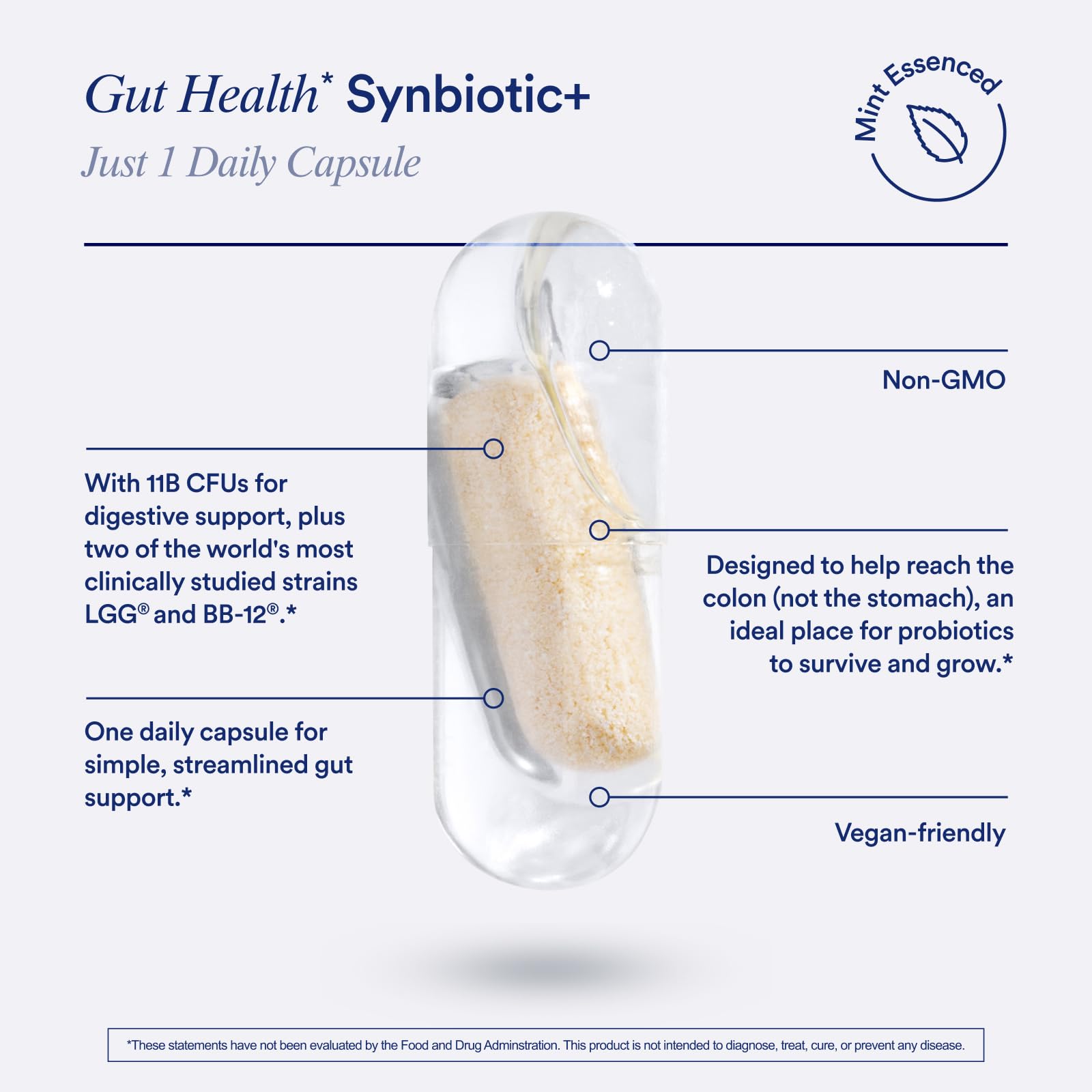Synbiotic Probiotic 3-in-1 – Gut & Digestive Support, 30 Capsules
