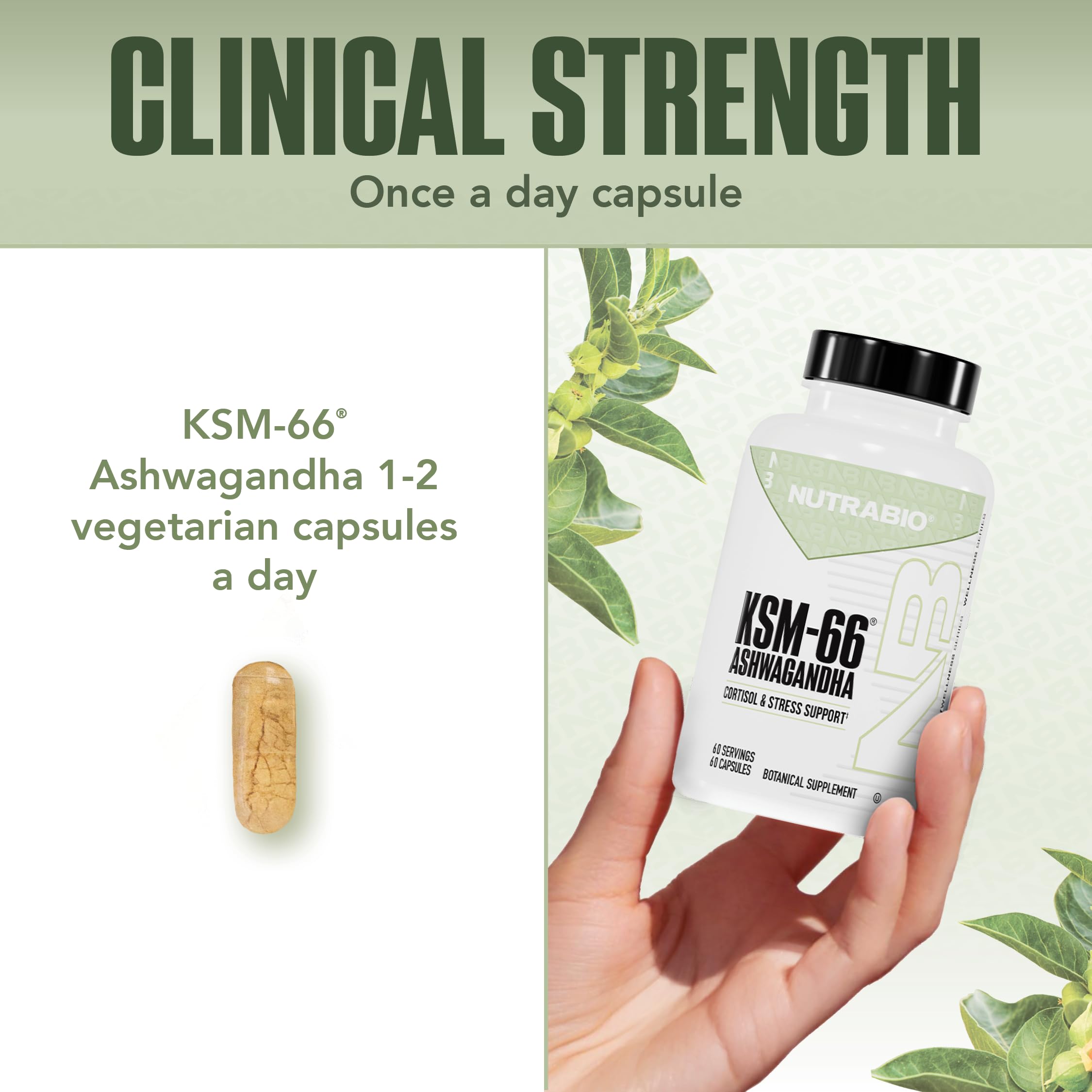 Ashwagandha KSM-66 600mg Capsules for Stress, Mood & Performance Support