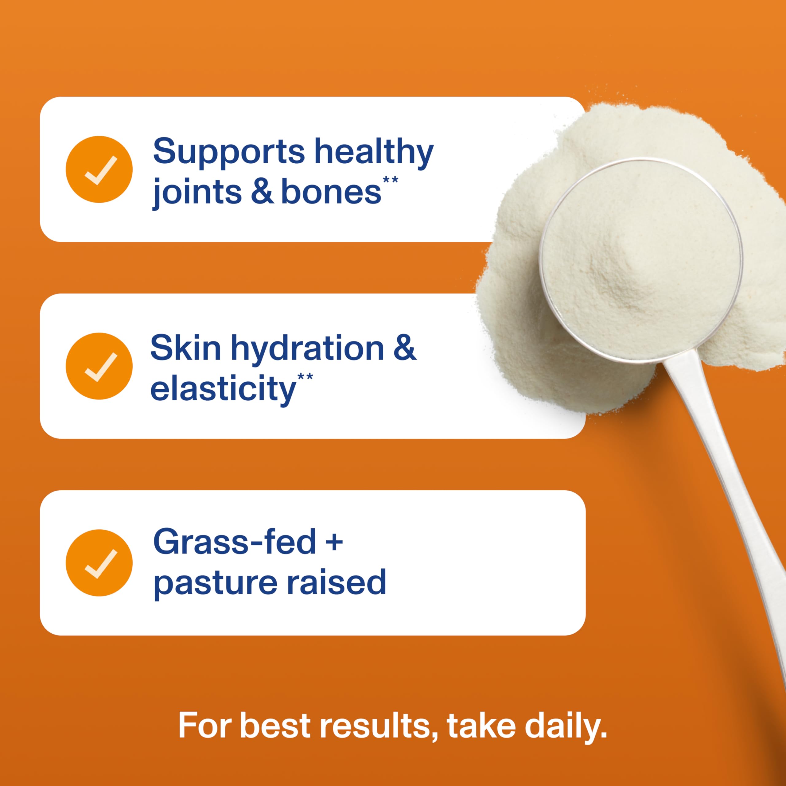 Pumpkin Spice Collagen Peptides Hair Skin Joint Support