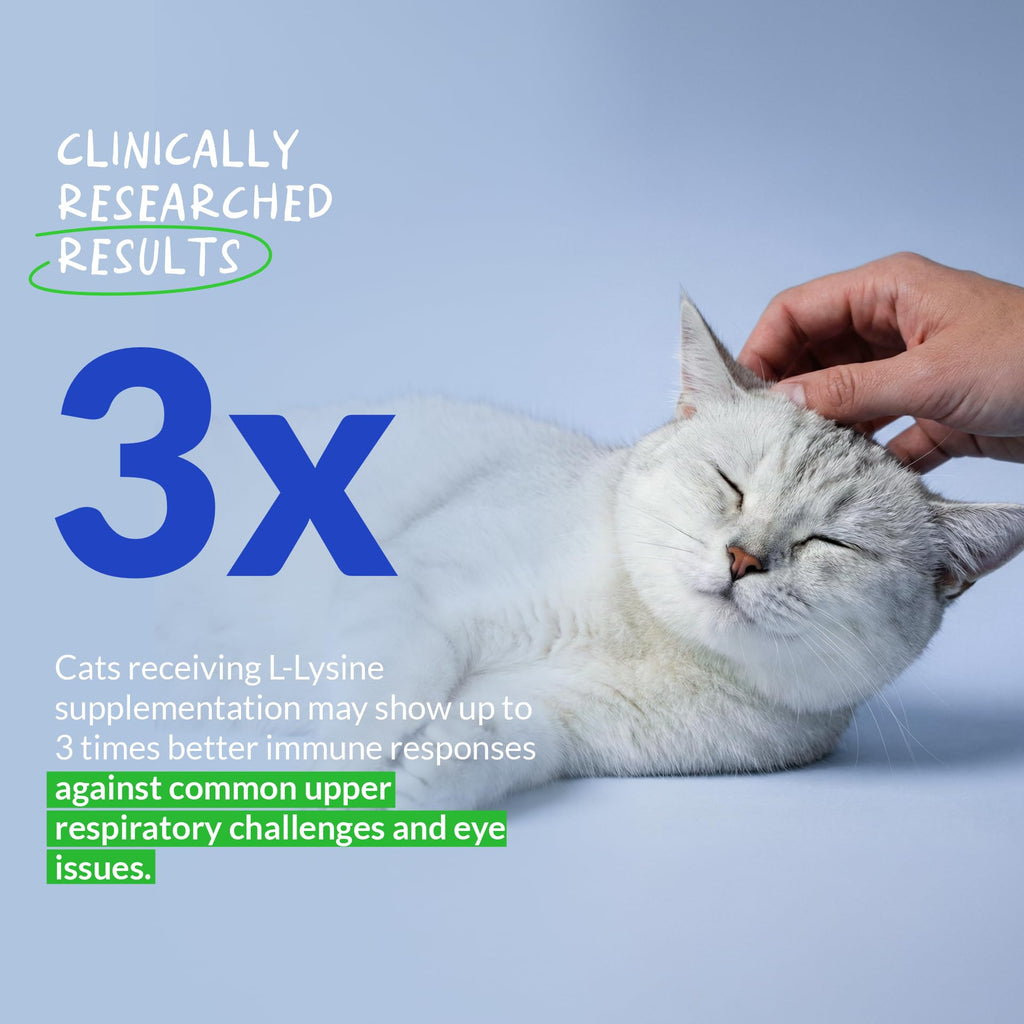L-Lysine Powder for Cats – Immune & Respiratory Support 900mg