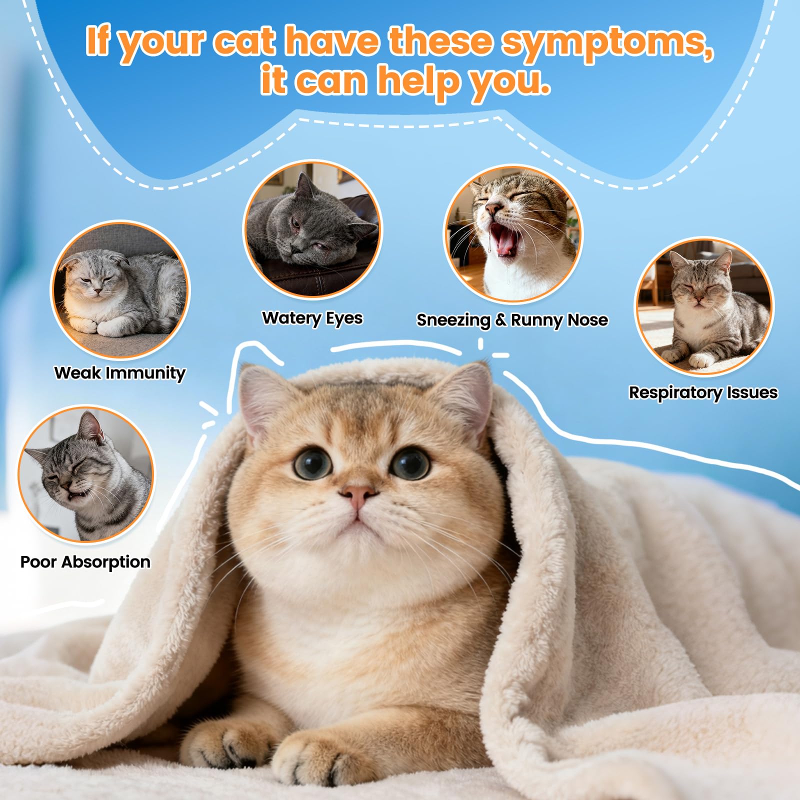L-Lysine Liquid for Cats – Immune & Respiratory Support 60ml