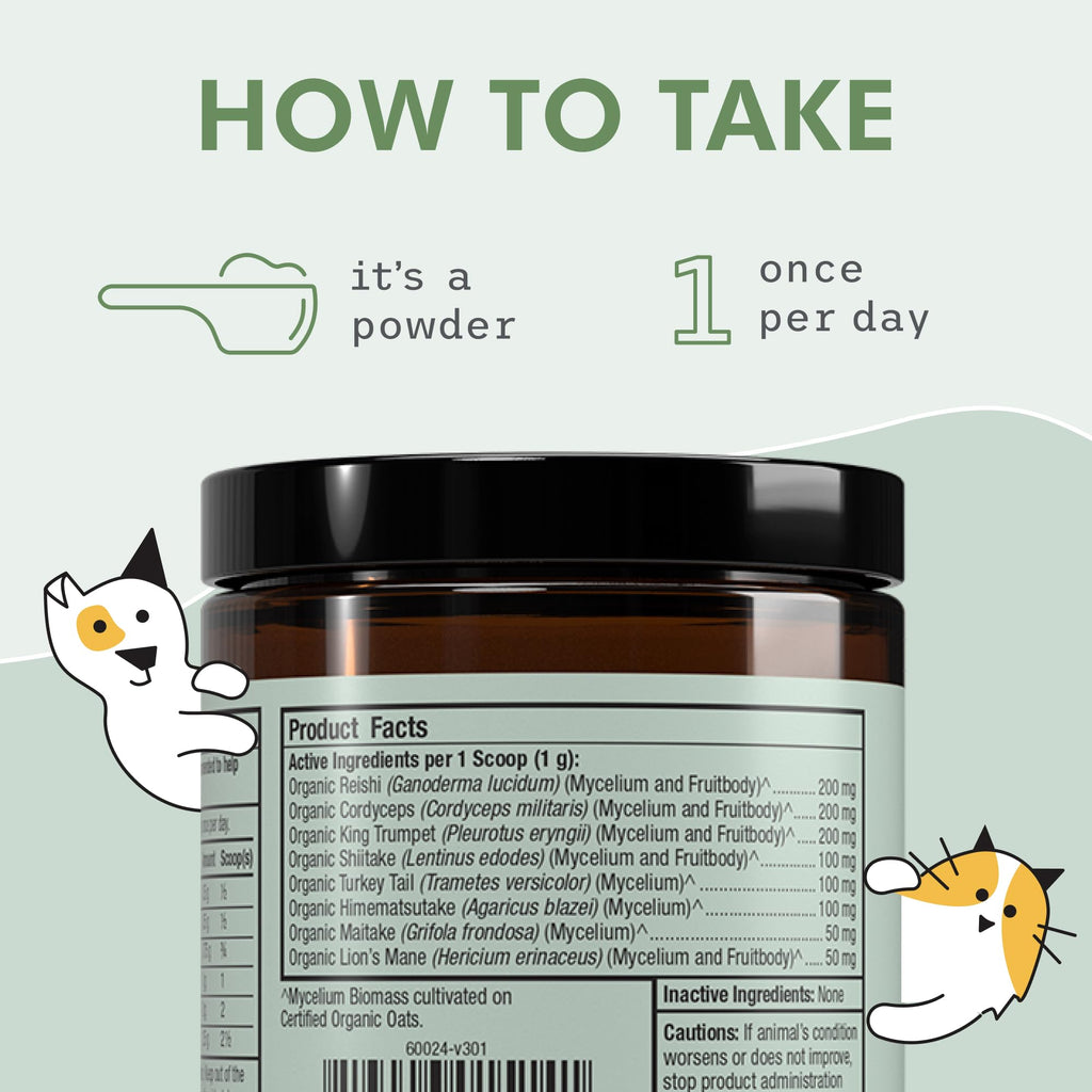 Organic Fermented Mushroom Blend for Dogs & Cats – 60 Scoops