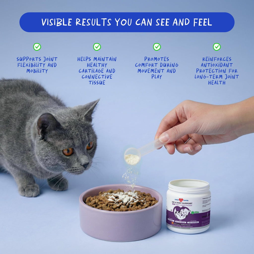 Hip & Joint Glucosamine Powder for Cats – Green Lipped Mussel 4oz