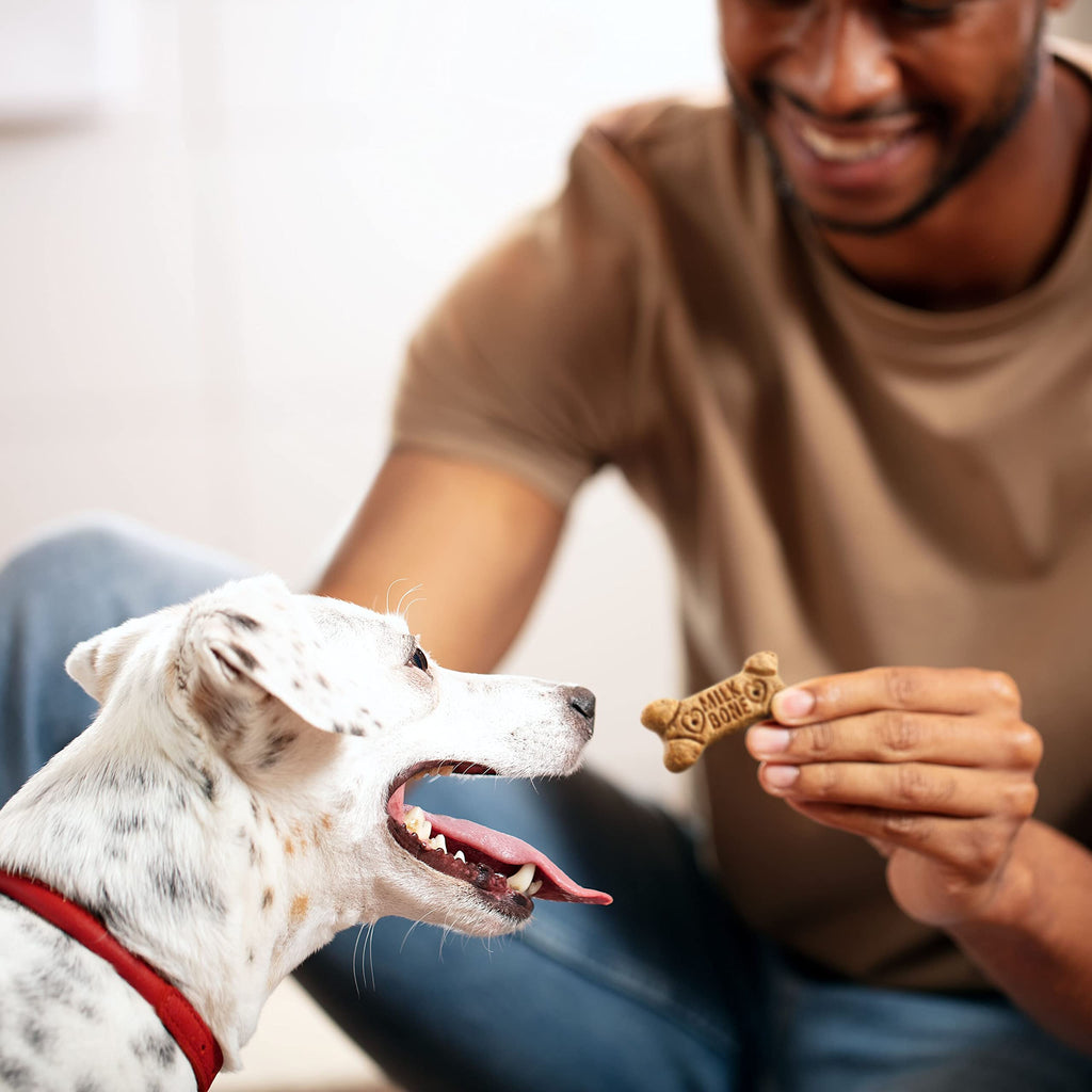 Crunchy Flavored Dog Biscuit Treats for Small Dogs – 7lb